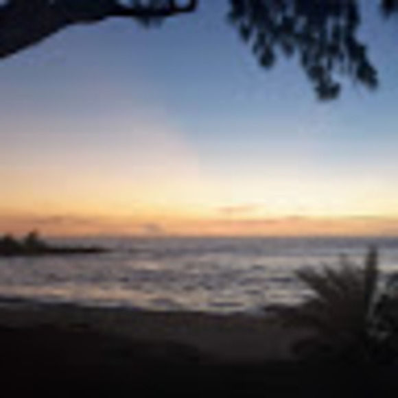 Meet your Posher, Genie - Picture 1 of 1